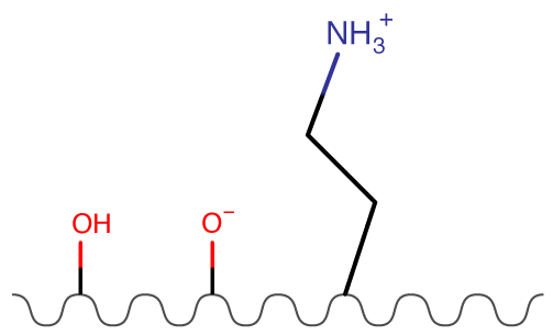 Amino Phases